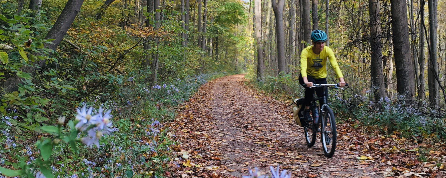 Trail cyclist in Ohiopyle State Park