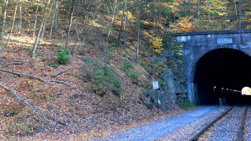 Brush Tunnel in autumn