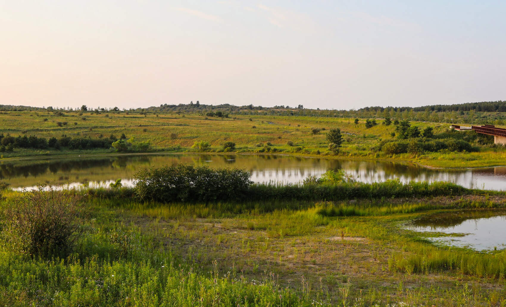 Flight 93 Wetlands