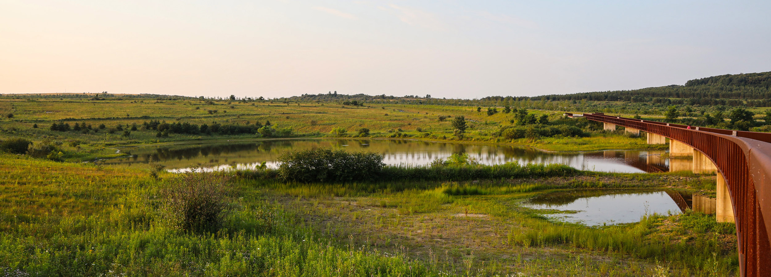 Flight 93 Wetlands