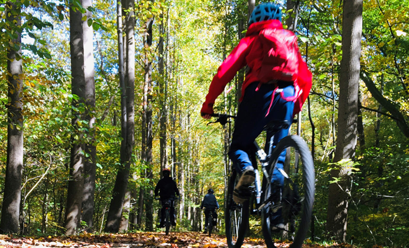 Kids Biking Ohiopyle