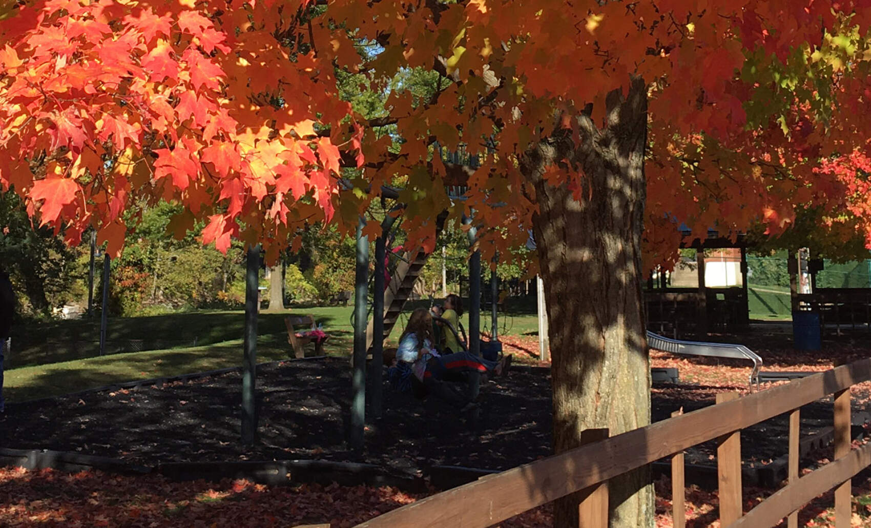 Fall Foliage Ride