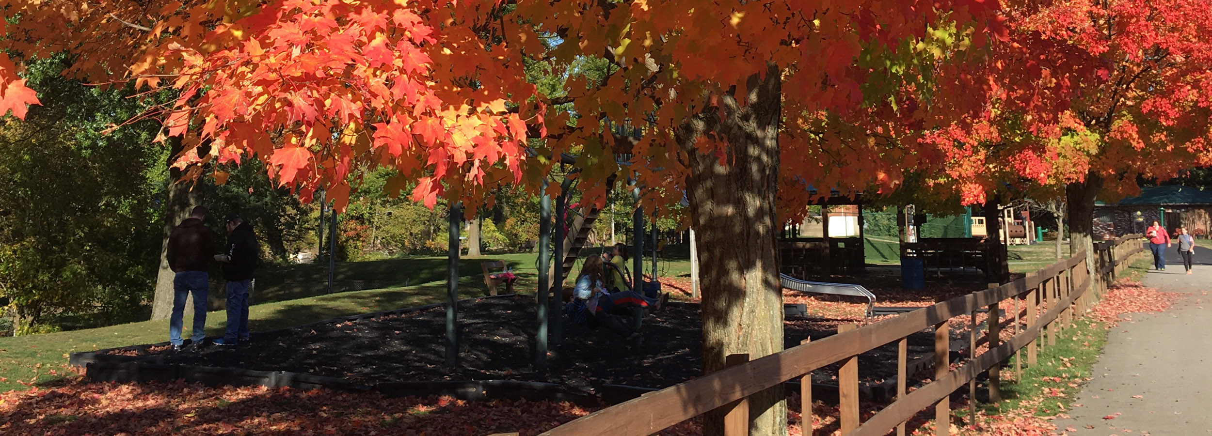 Fall Foliage Ride